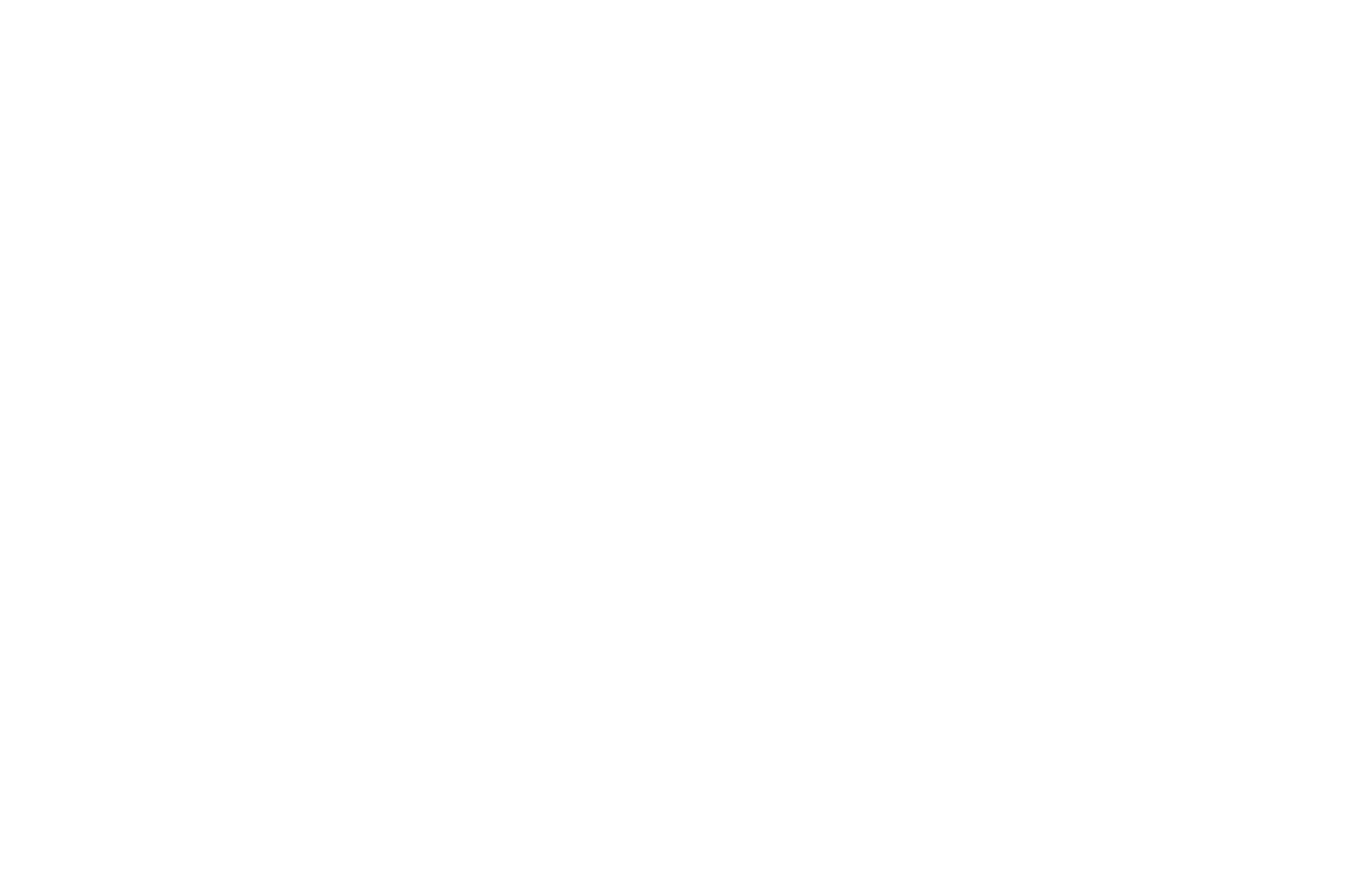 Circuito Lota